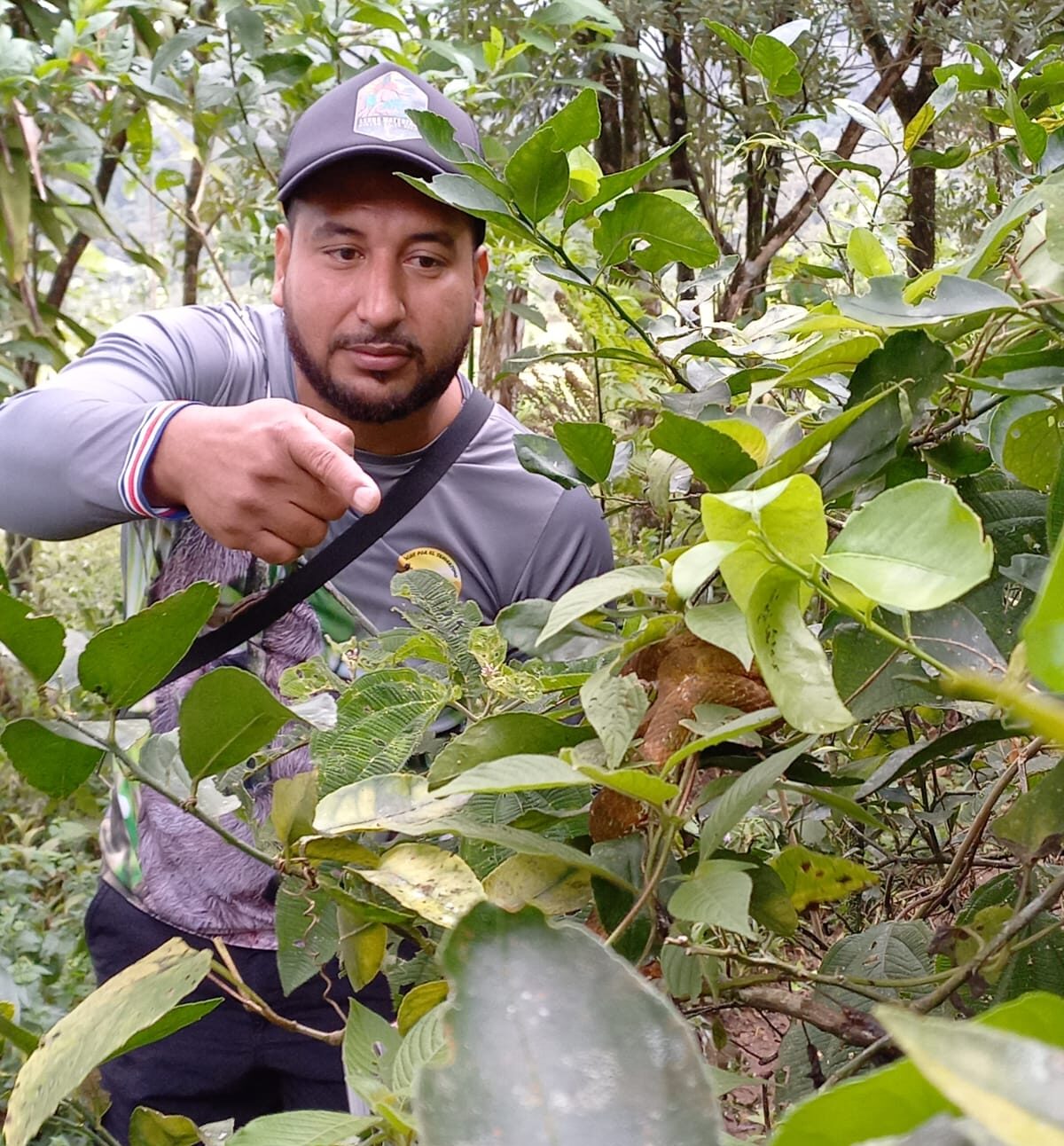 Costa Rica National Park